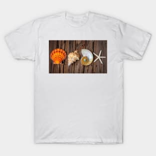 Four Lovely Shells And White Starfish T-Shirt